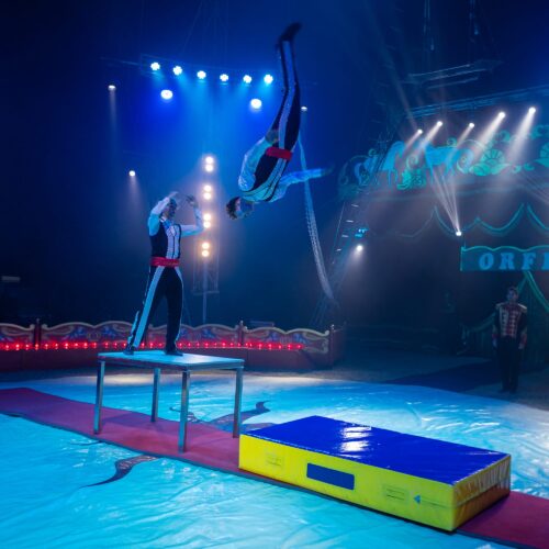 IMG-20250819-WA0040